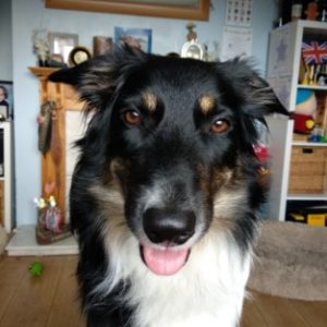 Profile photo of Sian