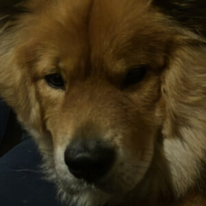 Profile photo of Alex