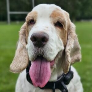 Profile photo of Steven