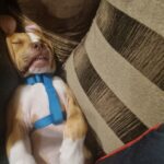 Profile photo of Zoe