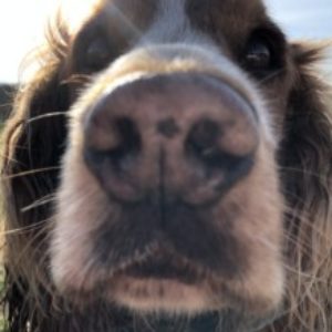 Profile photo of Anna
